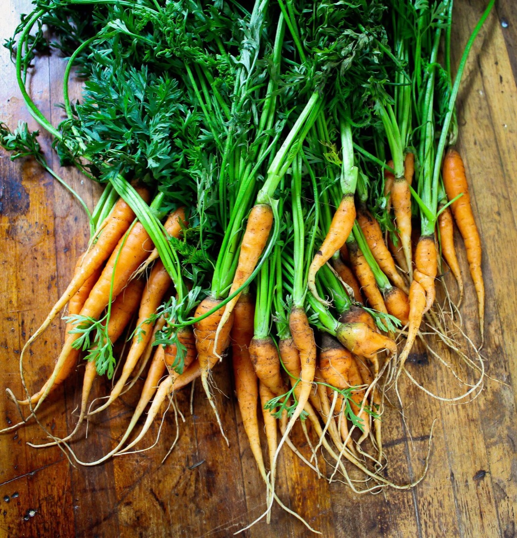 Carrot Top Pesto