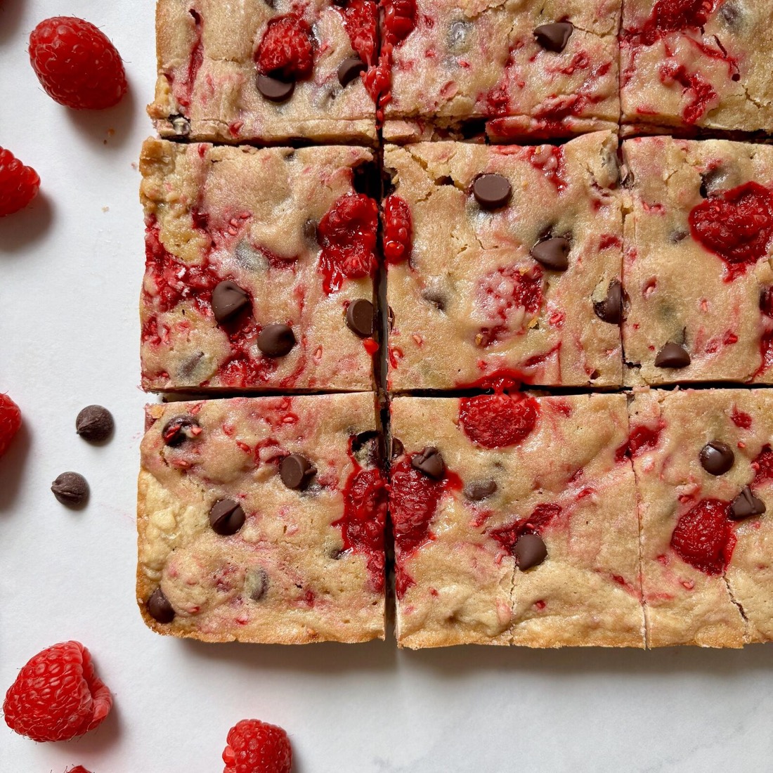 Fudgy Dark Chocolate Raspberry Blondies